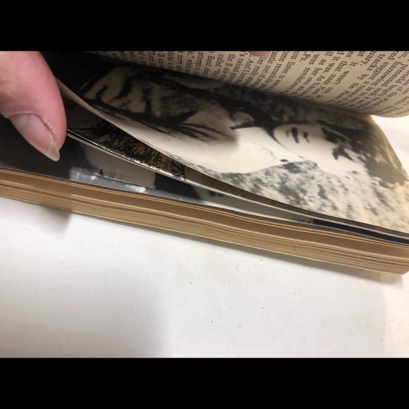 Strawberry Fields Forever: John Lennon Remembered 1980 paperback Book Photograph - Picture 4 of 8